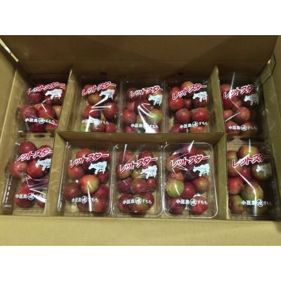ふるさと納税 小豆島町 【発送月固定定期便】【偶数月定期便】フルーツ定期便 全6回 |  | 02