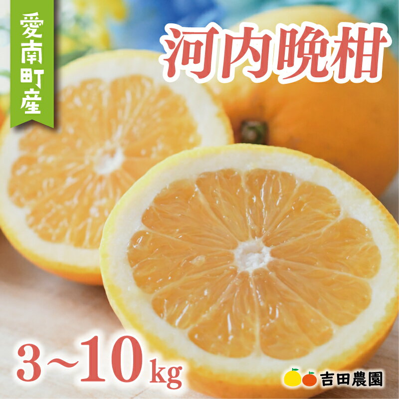 【ふるさと納税】 【高評価★4.7】 選べる容量 河内晩柑 3kg 5kg 10kg 訳あり 贈答用 数量限定 期間限定 わけあり 愛媛 みかん mikan 蜜柑 ミカン 愛南ゴールド 国産 特産品 フルーツ ギフト プレゼント お中元 果物 柑橘 おいしい さわやか 甘い 吉田農園 愛南町 愛媛県