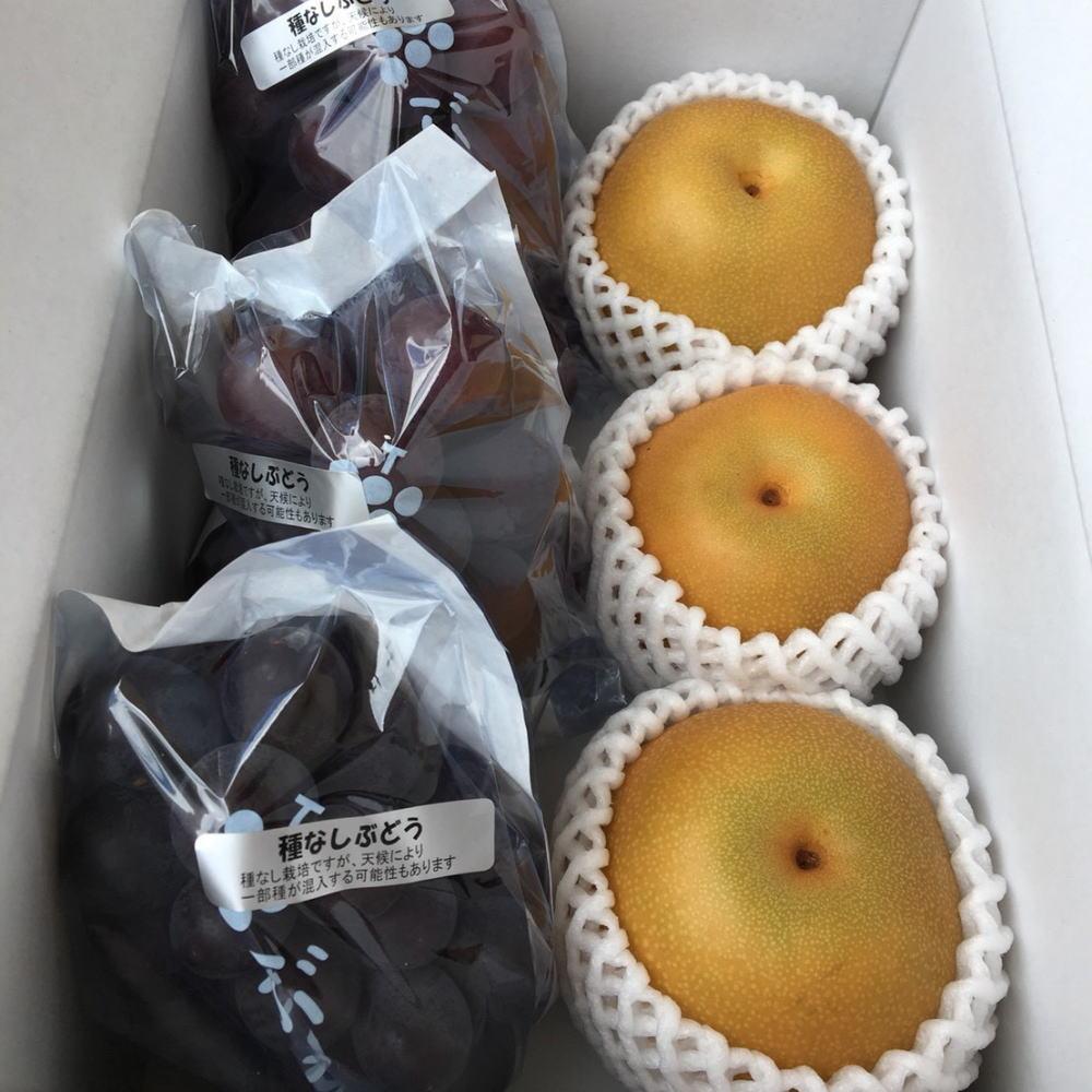［先行予約］［数量限定］梨とたなねし巨峰の詰め合わせ 約2kg　★2026年8月中旬頃より順次発送 BZ127_イメージ4
