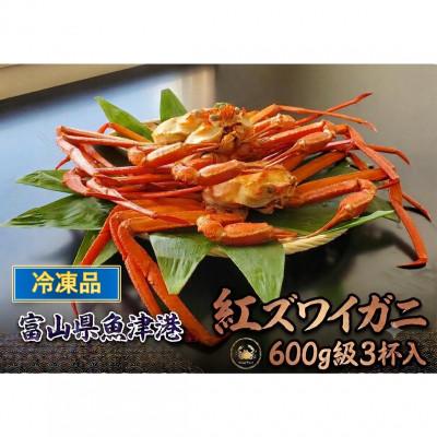 ふるさと納税 魚津市 【冷凍品】 自社漁船直送!魚卸問屋のベニズワイガニ　600g級×3杯