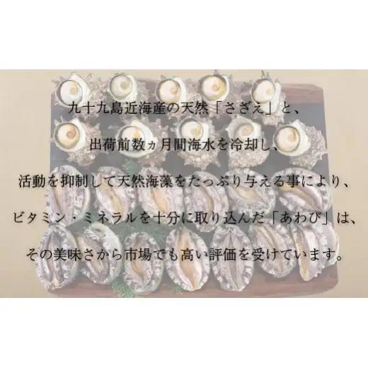 産地直送【 あわび・さざえセット】生食可 2.8kg あわび A180