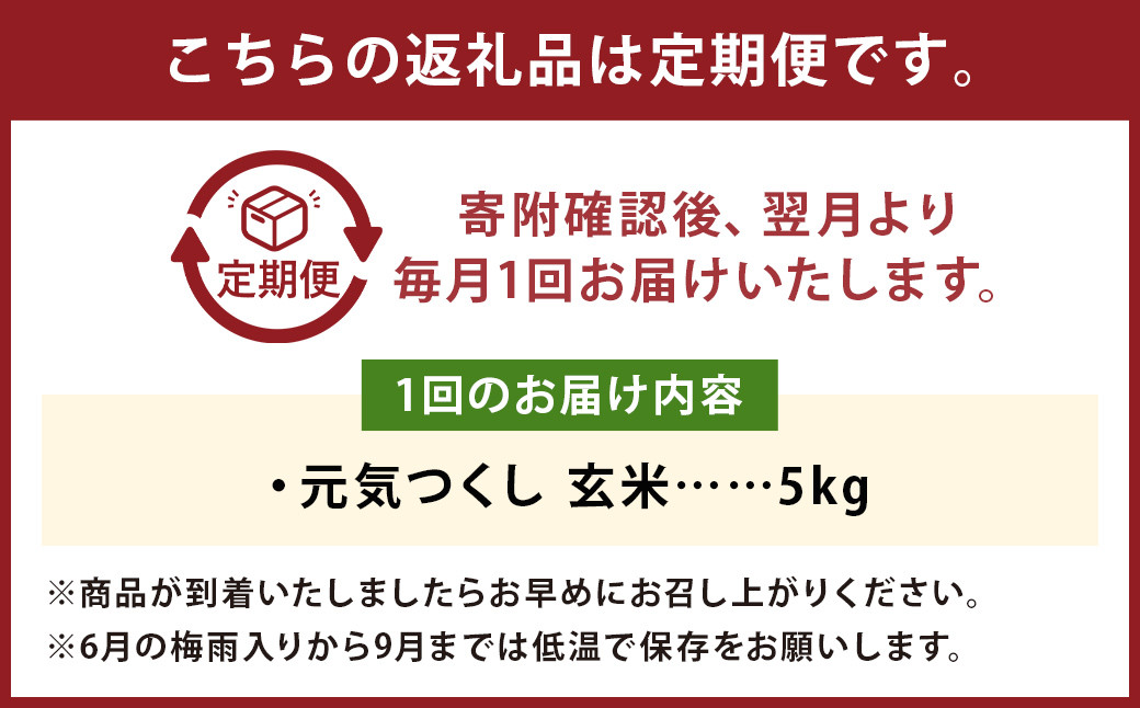 【6回定期便】フタエさんの お米 元気つくし 玄米 5kg×6回 計30kg