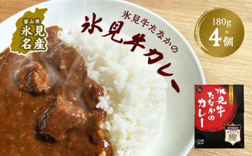 
氷見牛たなかのカレー　180g×4個セット 富山県 氷見市 カレー 牛肉 惣菜 加工品 レトルト 4人前
