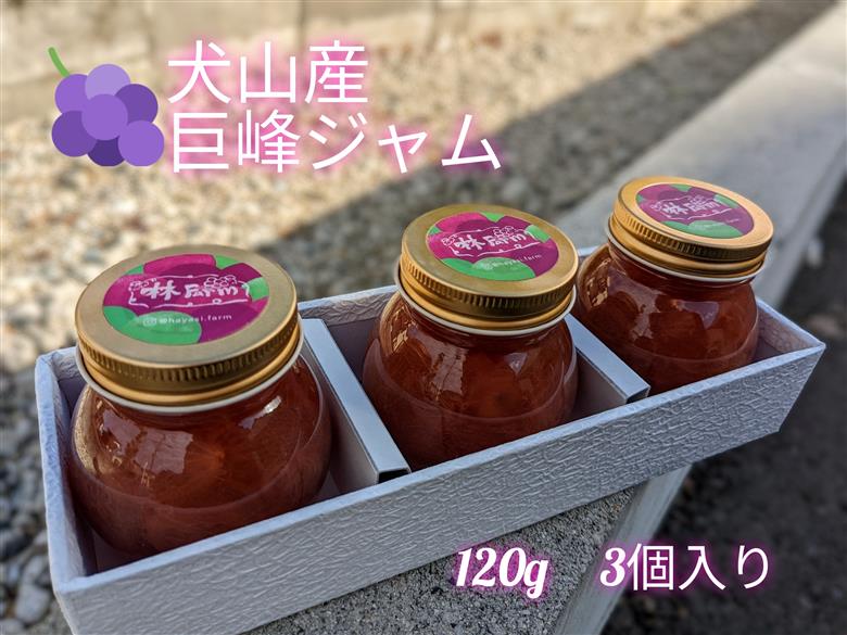 犬山産「巨峰ジャム」120g　3個入り（先行予約） ｜ ジャム セット 3個 ぶどう ブドウ 巨峰 洋菓子 和菓子