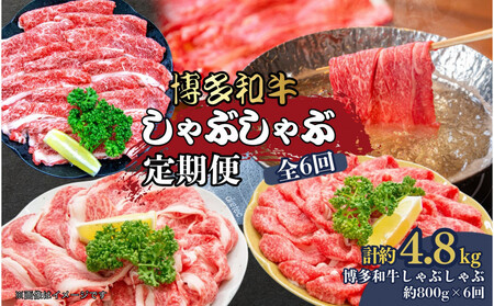 博多和牛　しゃぶしゃぶ　定期便全6回（約800g×6回）