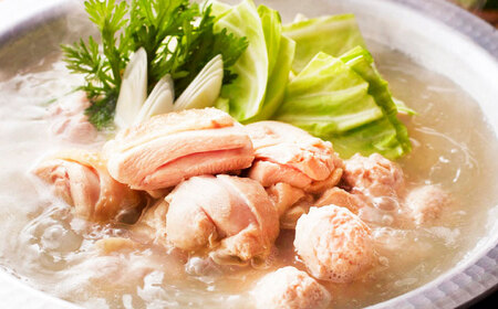 博多華味鳥 水炊き セットN 2~3人前[BGAD014]水炊き華味鳥