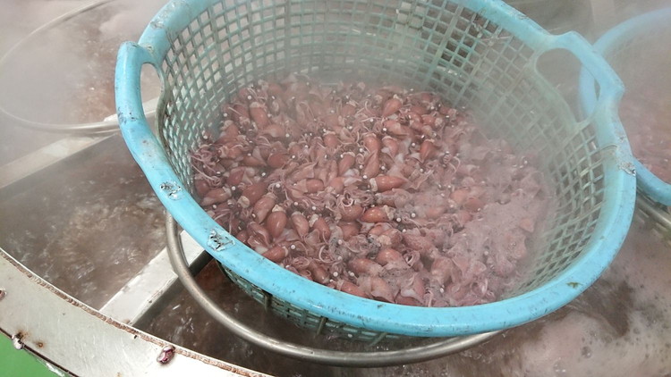 【2025年3月上旬以降発送】富山県産ボイルホタルイカ340g（酢みそ付）【棚辺水産】