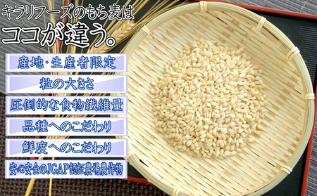 広島県安芸高田産 特選もち麦 キラリモチ 3.3kg + 国内産十六穀米 720g セット 国産