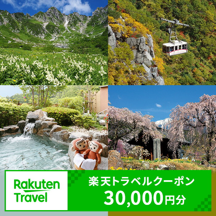 【ふるさと納税】長野県駒ヶ根市の対象施設で使える　楽天トラベルクーポン　寄付額100，000円(クーポン 30，000円)　長野 宿泊 宿泊券 ホテル 旅館 旅行 旅行券 観光 トラベル チケット 旅 宿 券