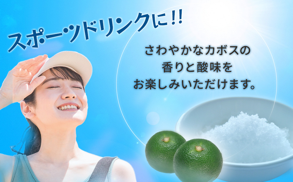 塩とカボス　495ml×24本　かぼすジュース カボスドリンク 飲料 スポーツドリンク 大分県産 九州産 津久見市 国産 送料無料