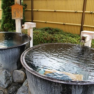 ＜多摩源流小菅の湯＞一年フリーパスチケット
