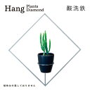 【ふるさと納税】GRAVIRoN Hang Plants シリーズ プランツハンガー Diamond (酸洗鉄) ハンギングプランツ プランター ハンギング エアプランツ 吊るす 植物ホルダー 観葉植物 インテリア 金属製 おしゃれ モダン 日本製 送料無料