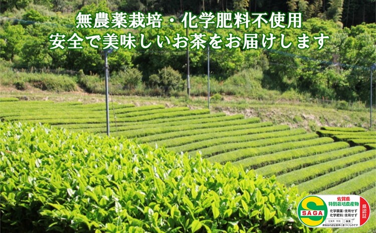 【無農薬栽培】基山茶高級煎茶2袋セット【お茶 緑茶 基山茶 基山町 高級 煎茶 旨み 渋み 美味しい 無農薬】 A3-J009001