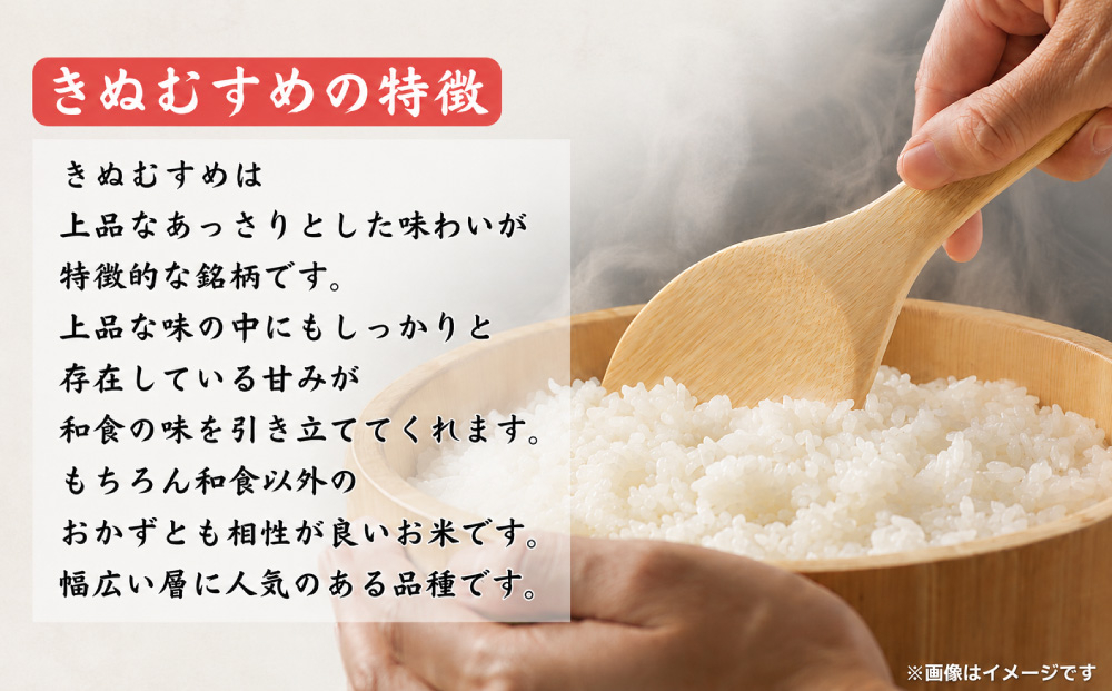 【先行予約・2026年11月上旬より発送】 鏡野町産 きぬむすめ 玄米5kg【050-a007】数量限定 米 お米 こめ コメ きぬむすめ 食味ランキング 特A 米 岡山県 鏡野町 送料無料