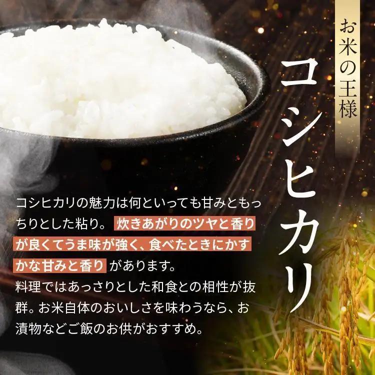 【令和8年産 新米】 【定期便12回】栃木県産 お米 こしひかり　（白米） 2kg 【2026年秋以降発送 】 |  栃木県 矢板市 【栃木県共通返礼品 真岡市産】