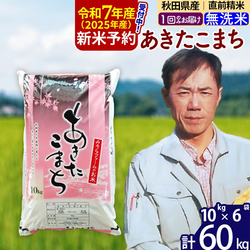 【ふるさと納税】※令和7年産 新米予約※秋田県産 あきたこまち 60kg【無洗米】(10kg袋)【1回のみお届け】2025年産 お米 みそらファーム