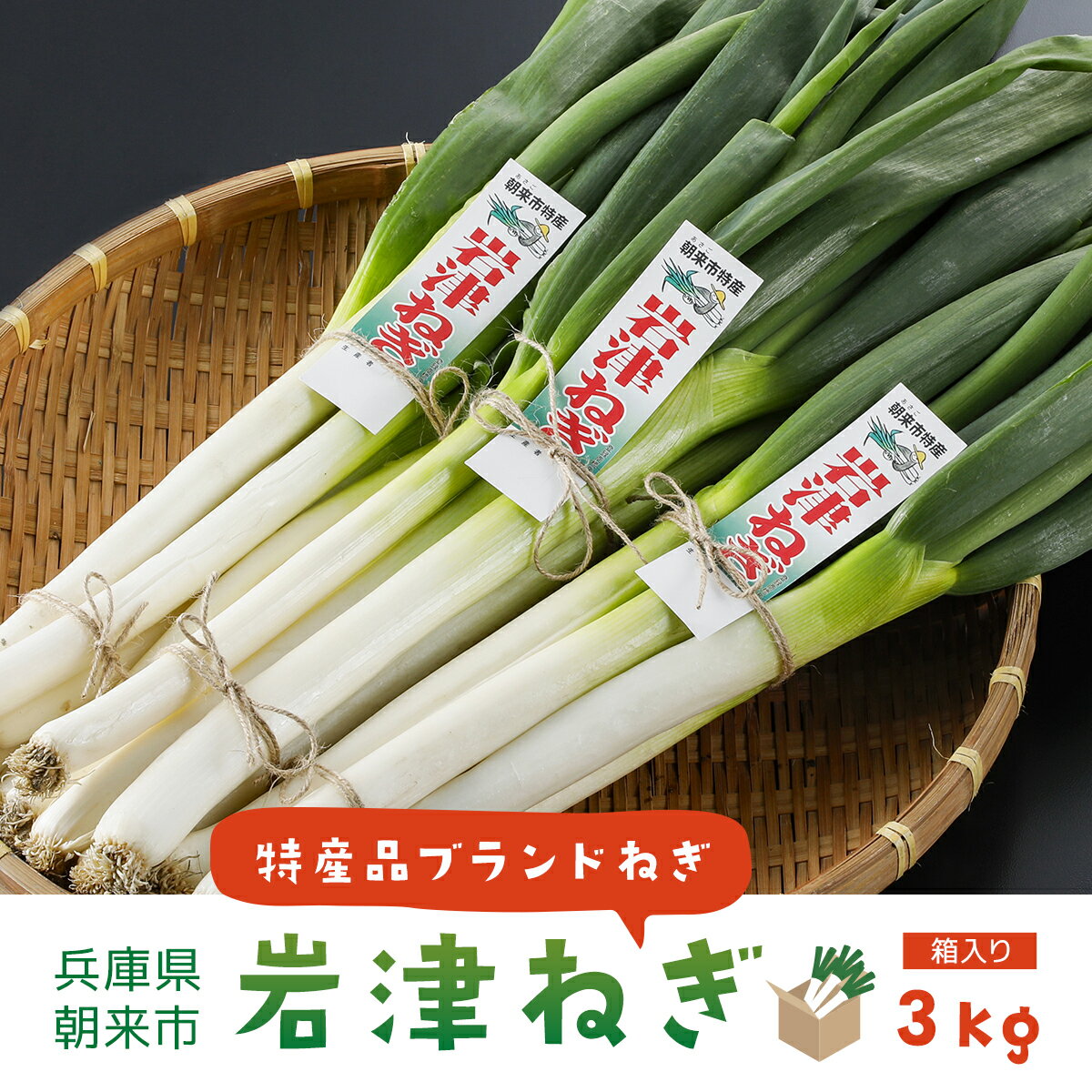 【ふるさと納税】朝来市特産「岩津ねぎ」3kg（箱入り）| 先行予約 先行受付 ねぎ ネギ 葱 岩津ねぎ 長ねぎ 長ネギ 長葱 3キロ 日本三大ねぎ 特産 新鮮 野菜 朝来市産 兵庫県 朝来市 AS4BC15