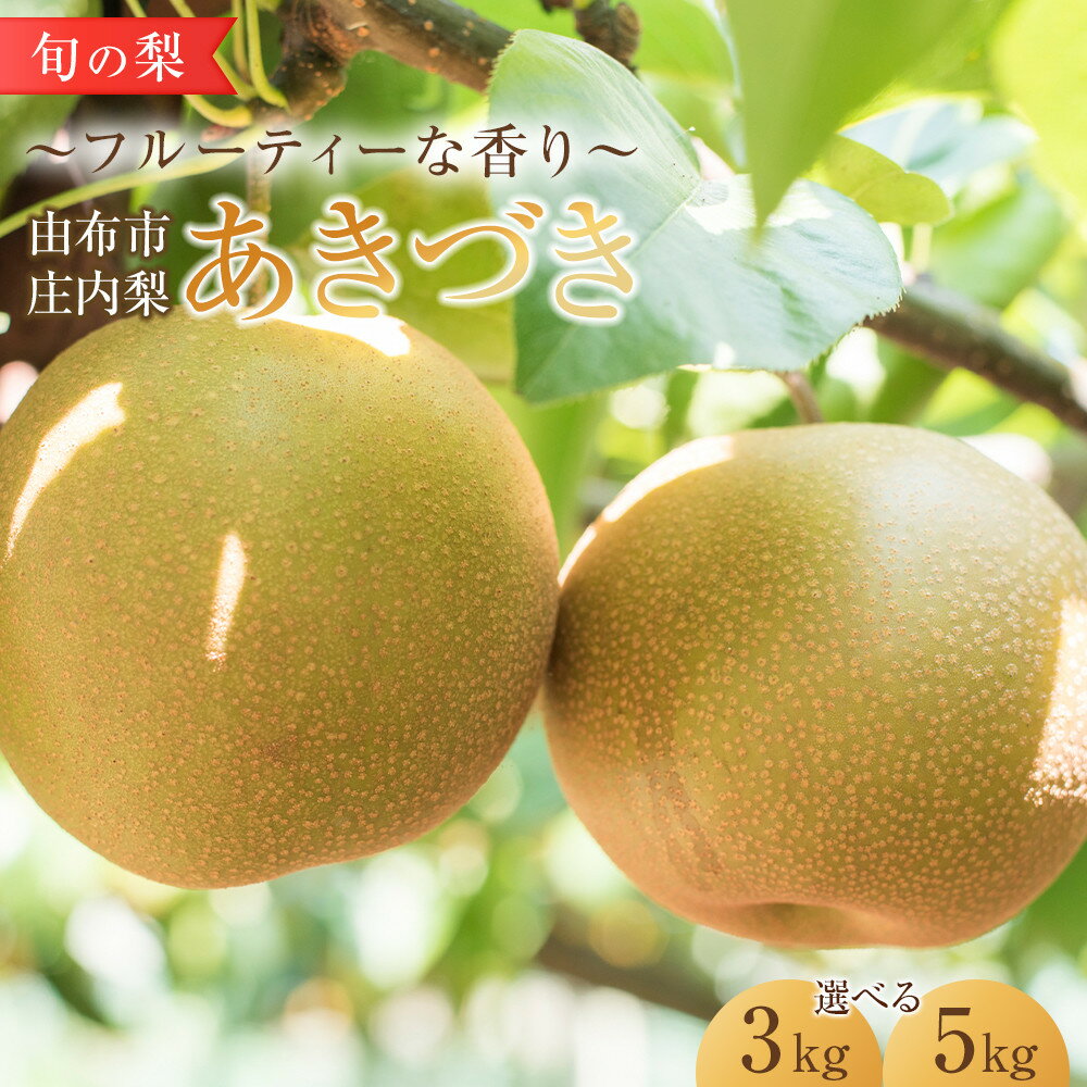 【ふるさと納税】＜選べる容量＞旬の梨 あきづき 3kg・5kg 庄内梨 大塚梨園＜2026年9月上旬以降発送＞ | 梨 なし 3kg 由布院 湯布院 由布市 大分県 九州 フルーツ 果物 お取り寄せ 国産 送料無料 ゆふいん おすすめ 数量限定 期間限定
