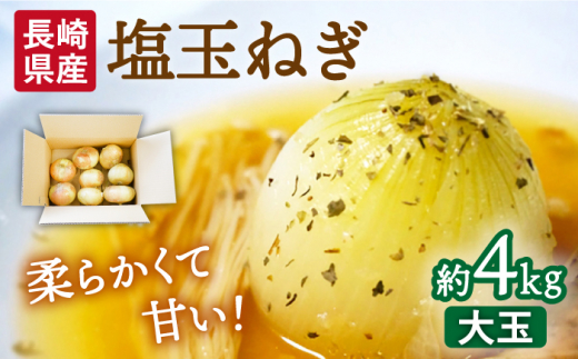 【2026年3月中旬～発送】【柔らかくて甘い！】塩玉ねぎ（新玉ねぎ）約4kg（大玉）南島原市 / 長崎県農産品流通合同会社 [SCB055]