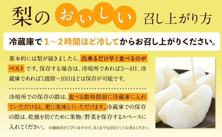 【先行予約】秀品 岡山県産 旬の 梨 約4kg 3～10玉前後 梨 秀品 新高 愛宕 スイーツ フルーツ デザート 旬 岡山県矢掛町《9月上旬-1月末頃に出荷予定》---ofn_ssn_af91_25