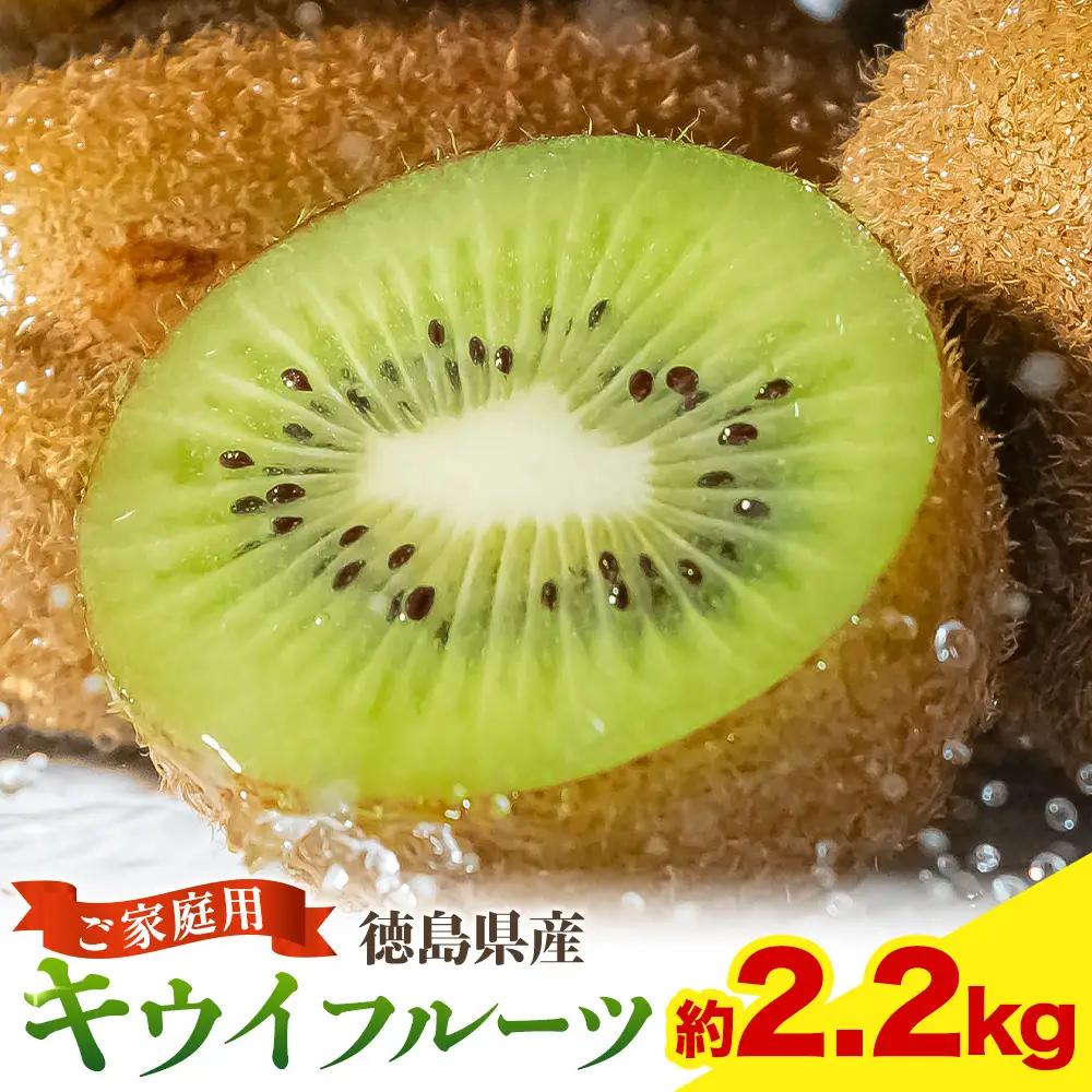 キウイ キウイフルーツ 徳島県産 ご家庭用 訳あり 2.2kg