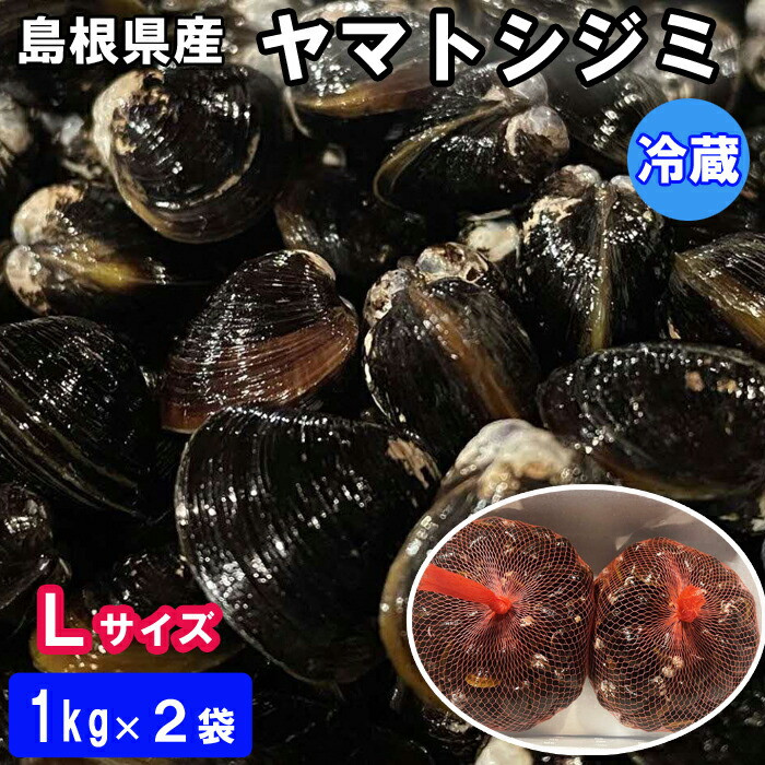 日本一！しまねのヤマトシジミ！Ｌサイズ