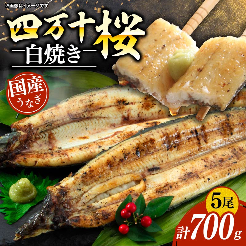 【通常用】極上国産うなぎ四万十桜 白焼き約140g×5尾 | うなぎ 鰻 白焼き 国産 四万十鰻 蒲焼き 調理済み タレ付き ギフト（お歳暮/お正月）高級 お取り寄せ グルメ 食べ比べ 冷凍