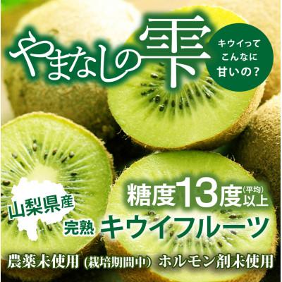 ふるさと納税 山梨市 【2026年12月より順次発送】　完熟キウイフルーツ　1パック6個入り×6パックセット