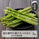 【ふるさと納税】喜左衛門 アスパラガス 2Lサイズ 2kg 極太 5月上旬~発送 山形県 尾花沢産 アスパラ グリーンアスパラガス 野菜 令和7年産 2025年産 送料無料 産地直送 取り寄せ kz-vga2x2※離島への配送不可
