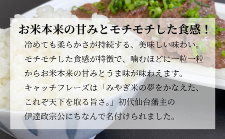 令和5年産　東松島産 だて正夢（精米）10kg 宮城県 米