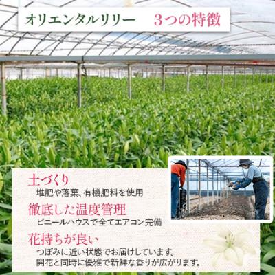 ふるさと納税 四万十町 日頃の感謝を「花束」に込めて【オリエンタルリリー3本から】Osy-01 |  | 01
