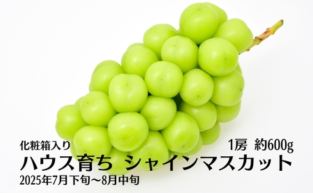 ハウス育ち シャインマスカット約600ｇ　1房化粧箱入り 果物類 フルーツ 果物 ぶどう 葡萄 約600g 