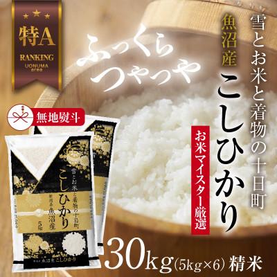 ふるさと納税 十日町市 【のし付き】 魚沼産 コシヒカリ 30kg  美味しい炊き方ガイド付き