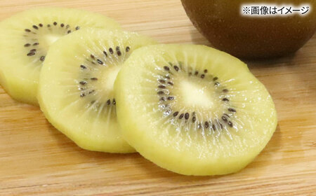 福岡限定品種キウイ「甘うぃ」約1.3kg〜約1.5kg／2026年11月頃より発送予定 桂川町/一般社団法人地域商社ふるさぽ[ADCF013]
