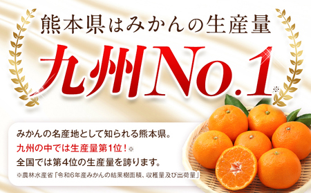 みかん 訳あり くまもとみかん 約5kg S-2Lサイズ サイズ混合 ご家庭用《7-14営業日以内に出荷予定(土日祝除く)》 フルーツ サイズ混合 秋 旬 柑橘 小玉 中玉 大玉 熊本県 荒尾市 熊本