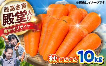 【先行予約】【2025年12月順次発送開始】秋にんじん10㎏ / 秋人参 人参 菊陽人参 人参ジュース 人参じゅーす 人参農家　【株式会社 まゆみ農園】[BHCW006]