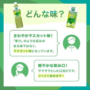 【定期便8ヶ月連続お届け】カゴメ 野菜生活100 グリーンサラダ 200ml 24本 野菜ジュース 果実ミックスジュース 紙パック