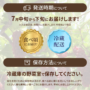 【令和6年度発送分】高松ぶどう１箱（約２キロ入り）デラウェア・種無し・毎年大人気・甘くて粒が大きく食べごたえ抜群