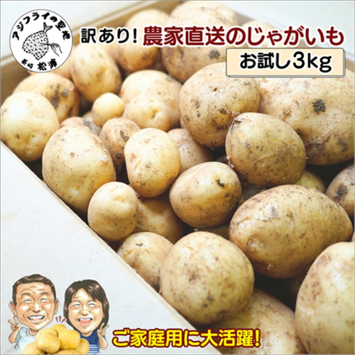 訳あり！農家直送のじゃがいも お試し3kg ( 訳あり じゃがいも いも 肉じゃが サラダ フライドポテト カレー シチュー 煮物 )【A6-042】