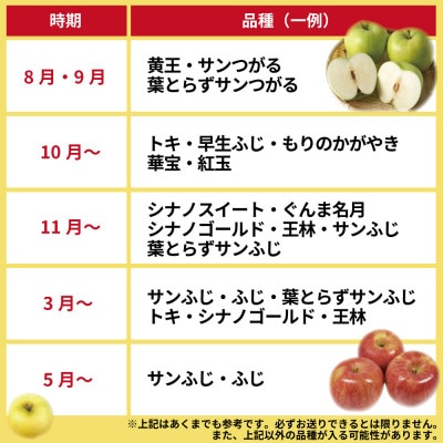【2025年8月発送予定】品種おまかせ りんご 約3kg 訳あり クール便【配送不可地域：離島・沖縄県】