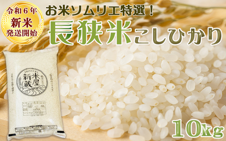 《令和６年新米》【米屋新蔵】お米ソムリエ特選『長狭米コシヒカリ』10kg　[0022-0007]