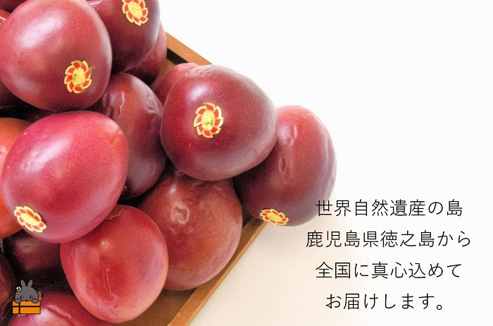 全国の皆様に真心こめてお届けします。