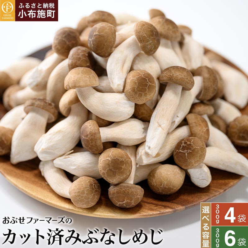 【ふるさと納税】 ぶなしめじ 選べる内容量 300g × 4袋 300g × 6袋 ［おぶせファーマーズ］ きのこ キノコ 野菜 鍋 炒め物 長野 信州