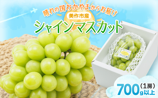 【2025年先行受付】岡山県美作市産　シャインマスカット　1房(700g以上)【配送不可地域：離島】
