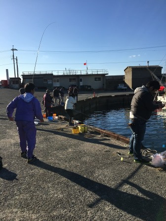 
加太海釣り体験チケット（1名様）
