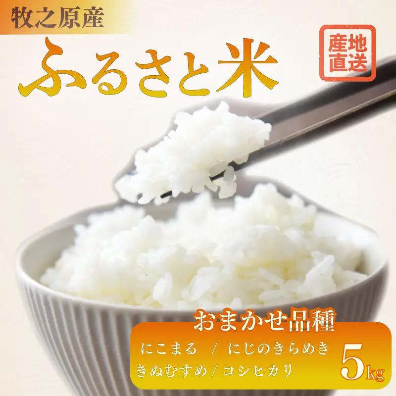 【R8 新米】お米 5kg 品種 おまかせ 【 にこまる にじのきらめき きぬむすめ コシヒカリ 】牧之原市