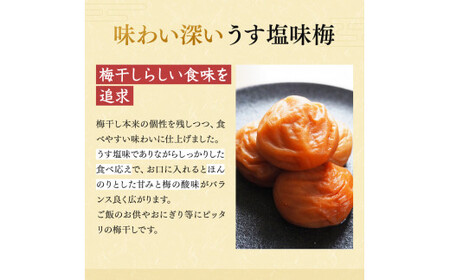 一梅千日うす塩味梅「空」塩分9% 3Lサイズ　500g / 和歌山 和歌山県産 紀州南高梅 南高梅 梅干し 梅干 梅 A級品 2Lサイズ 3Lサイズ うす塩 ご飯のお供【umm021-3L】