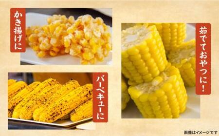 【2024年6月より順次発送】としちゃんの農家直送スイートコーン約4kg（11-13本入り）【豊前市】とうもろこし 野菜 BBQ[VBH001] とうもろこし とうもろこし スイートコーン とうもろこ