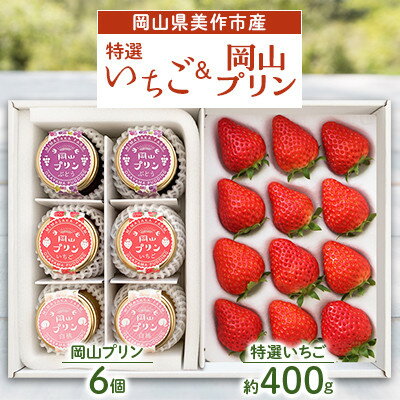 【ふるさと納税】岡山県美作市産　特選いちご&岡山プリン詰合せ(いちご約400g、プリン6個)【配送不可地域：離島・北海道・沖縄県】【1073698】