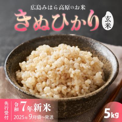 ふるさと納税 三原市 令和7年新米きぬひかり 玄米 5kg 11月〜順次発送[220-015]